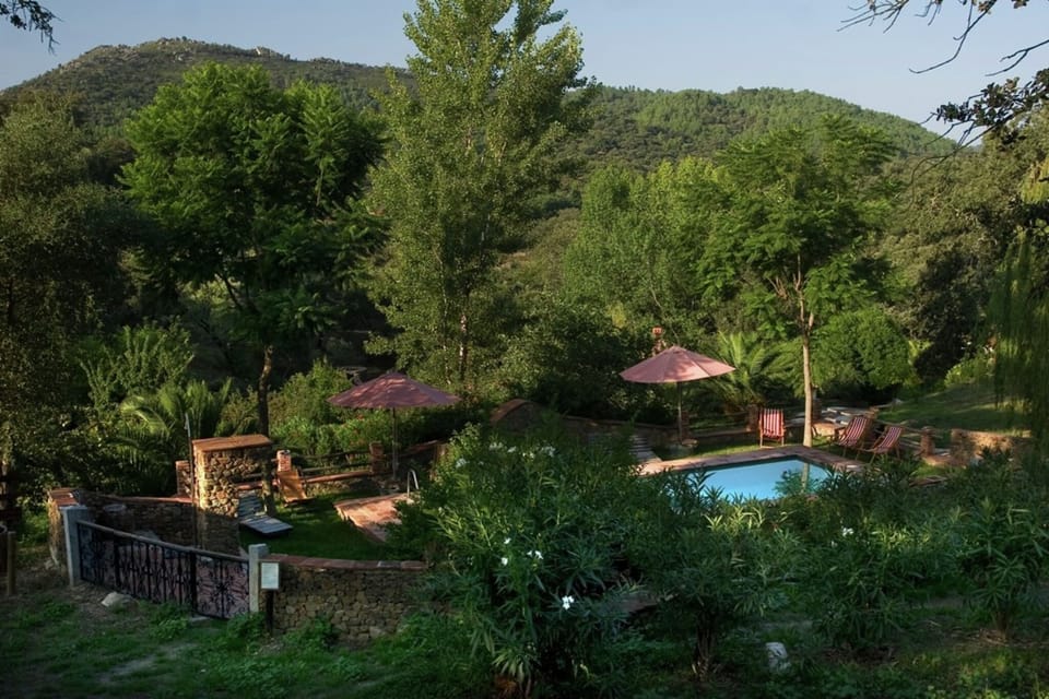 Holiday Home Swimming Pool