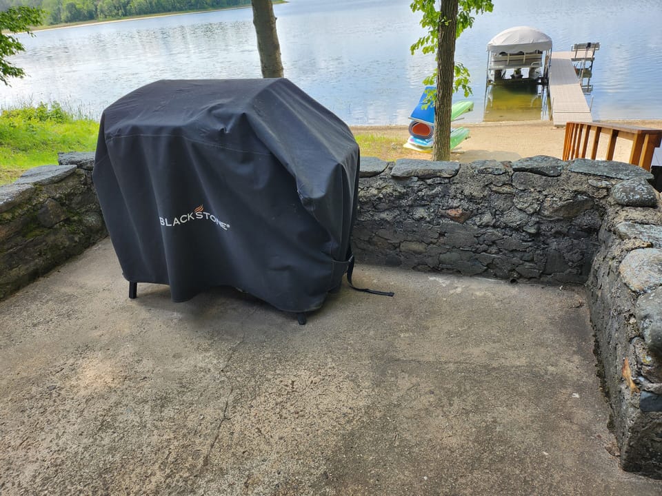 Blackstone Cast iron flat top Griddle.  Great for fish and breakfast!