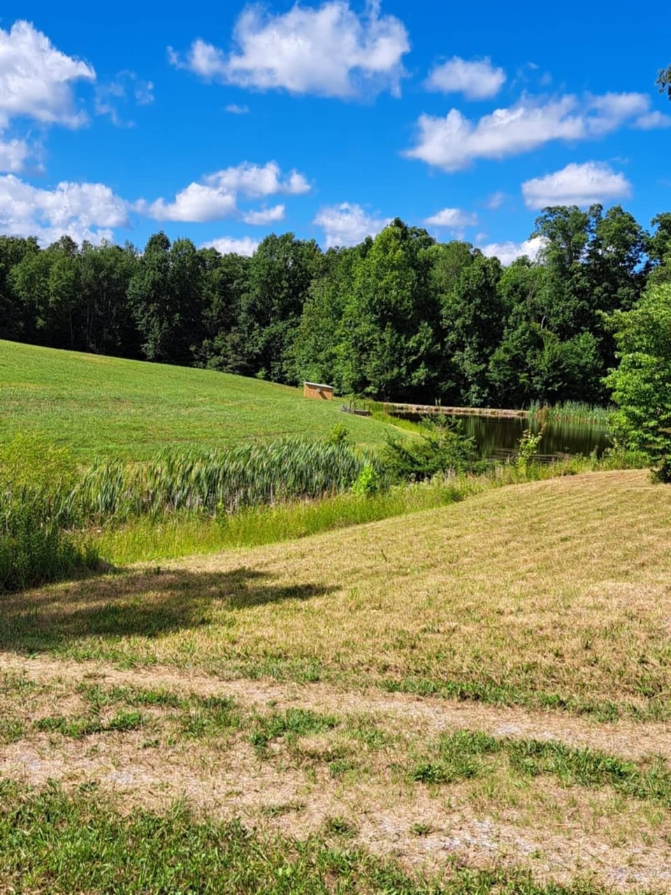 Views from the camper
