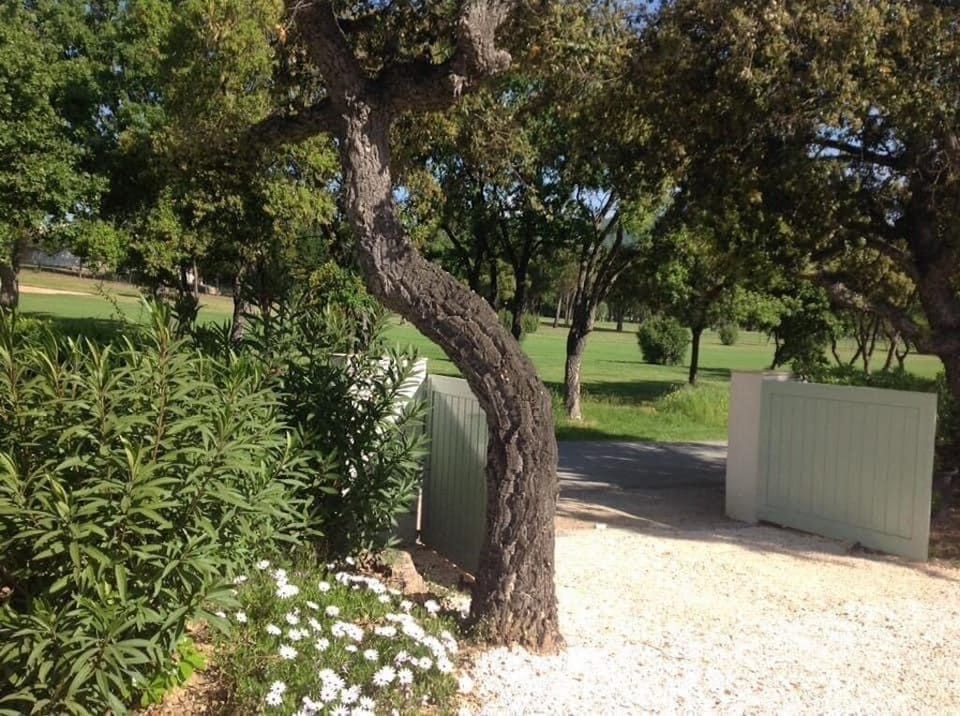 Property grounds