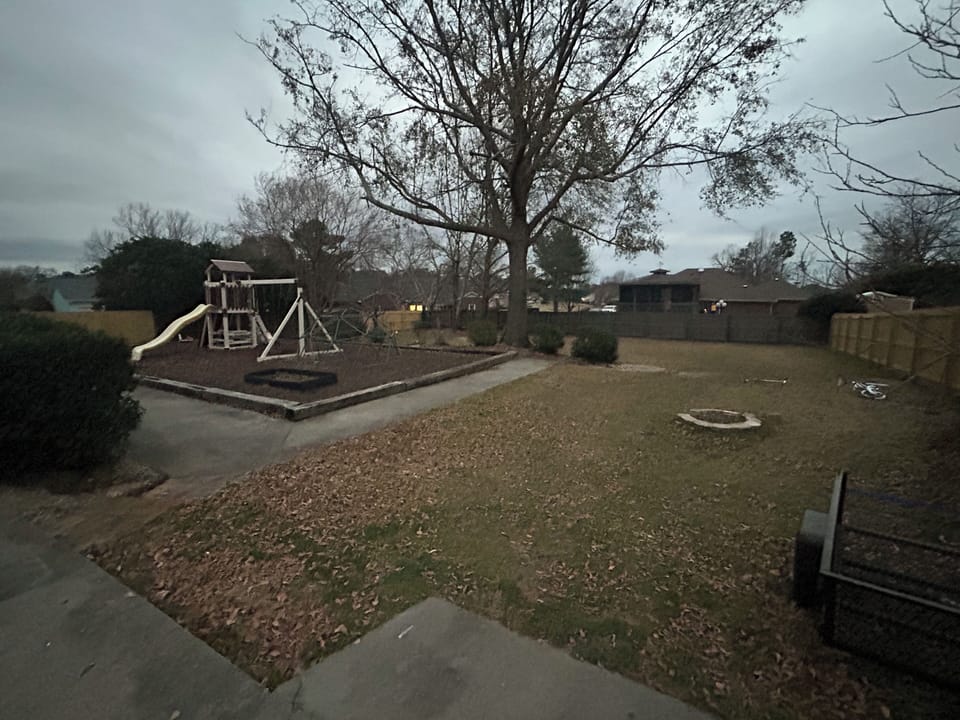 Backyard
