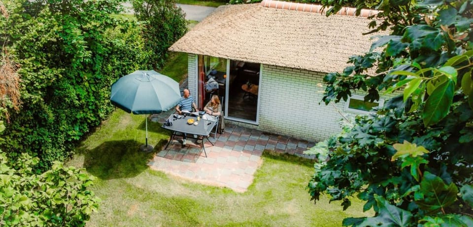 Garden [summer]