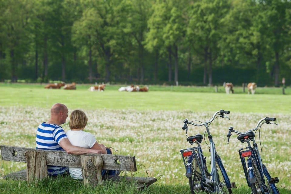 Surroundings [summer] (1-5 km)