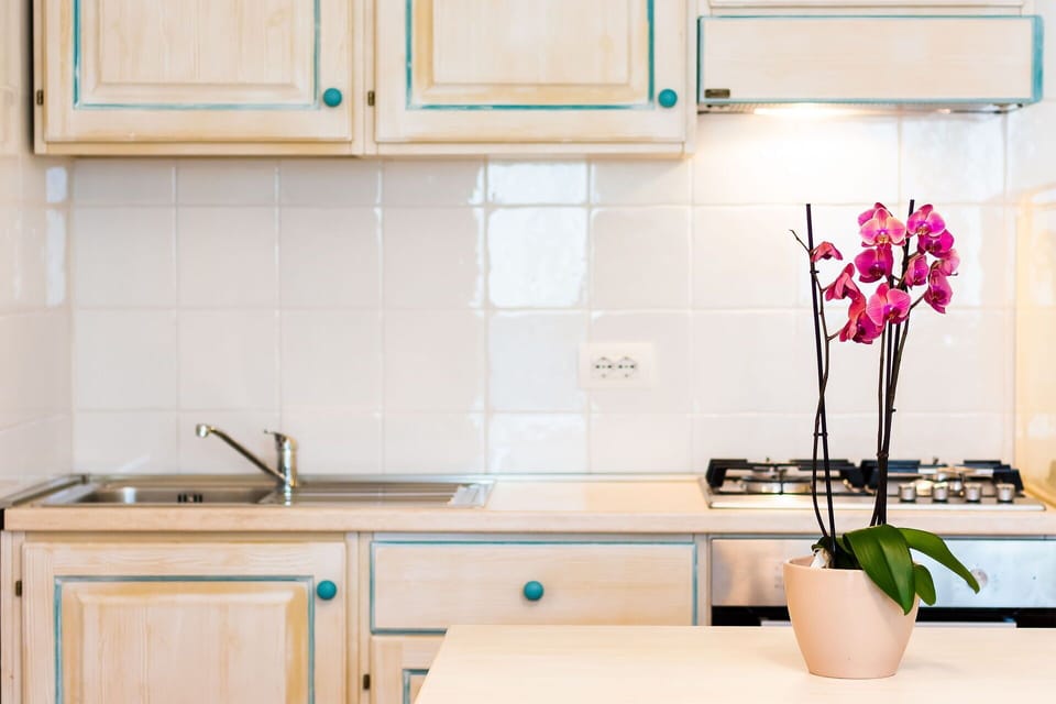 Autumn, Kitchen, Spring, Summer