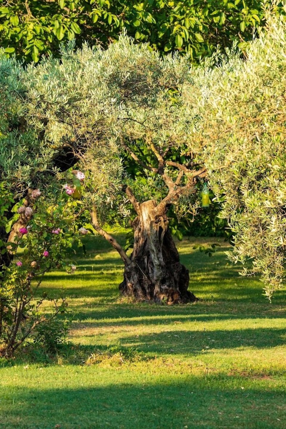 Douceur Des Mées Bed and Breakfast in Provence-Alpes-Côte d'Azur