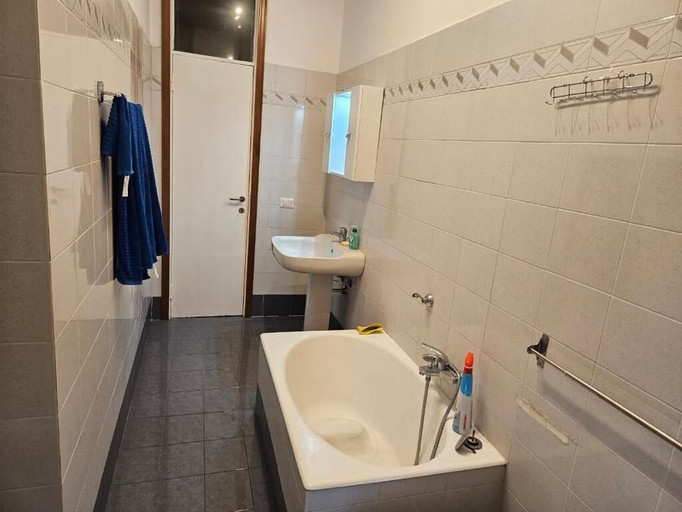 Separate tub and shower, hair dryer, bidet, towels