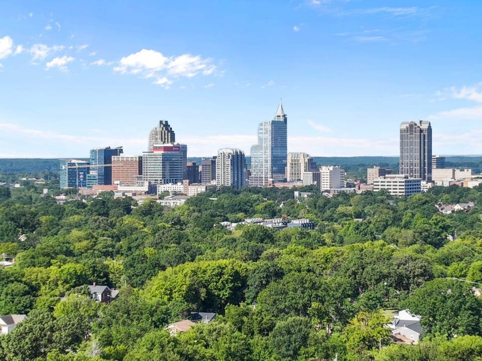 Downtown Raleigh Skyline