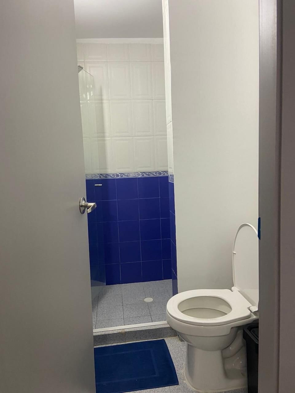Classic Double Room | Bathroom | Shower, towels, soap, shampoo