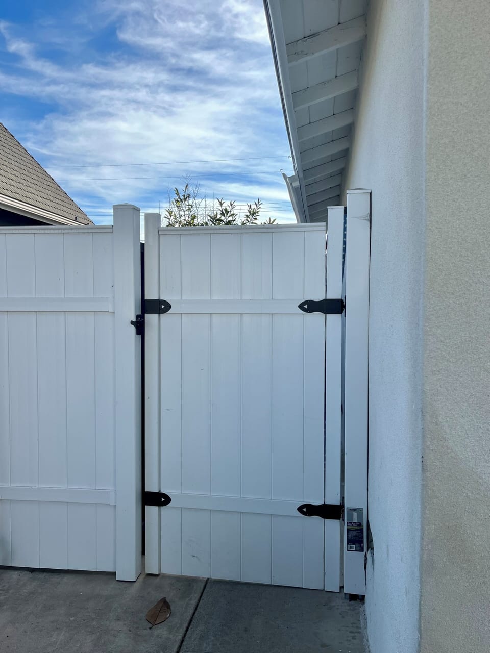 Entrance gate (seperate with main house)