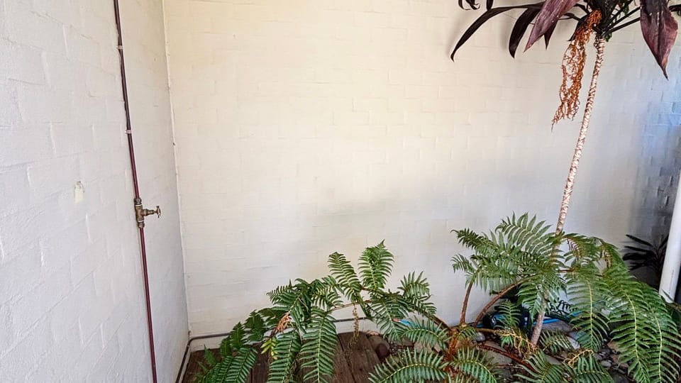 Outdoor shower. 
