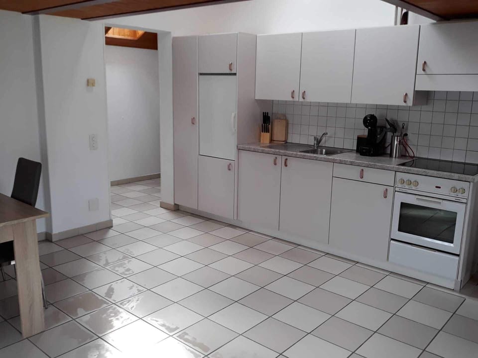 Deluxe Apartment | Private kitchen | Full-size fridge, microwave, oven, stovetop
