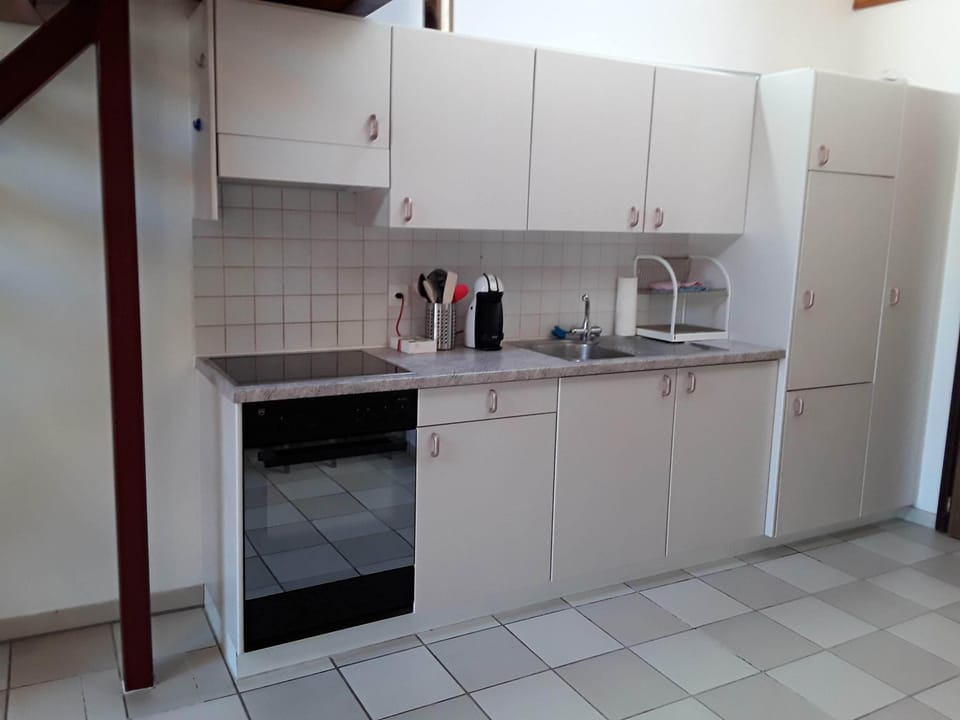 Standard Apartment | Private kitchen | Full-size fridge, microwave, oven, stovetop