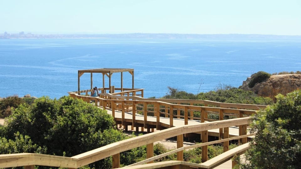 Incredible Board Walks with fabulous viewing areas