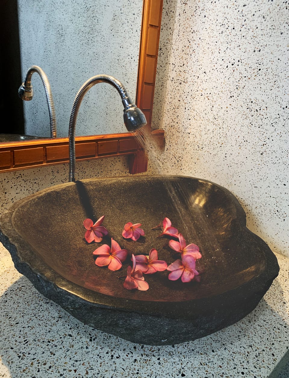 Deluxe Room, Courtyard View | Hand-held showerhead