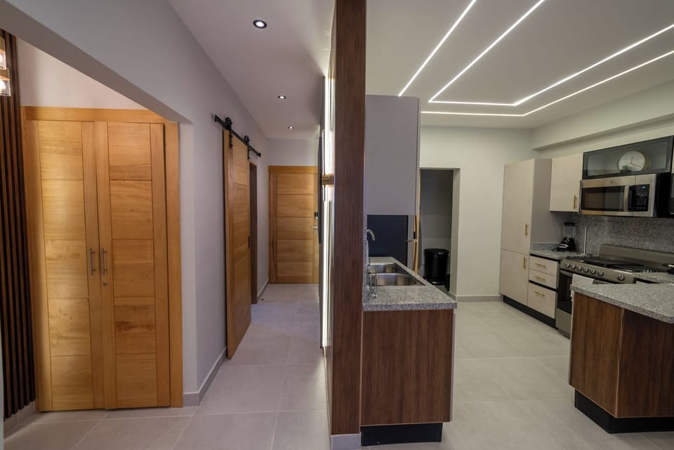 Deluxe Apartment, City View | Private kitchen | Fridge, microwave, oven, stovetop