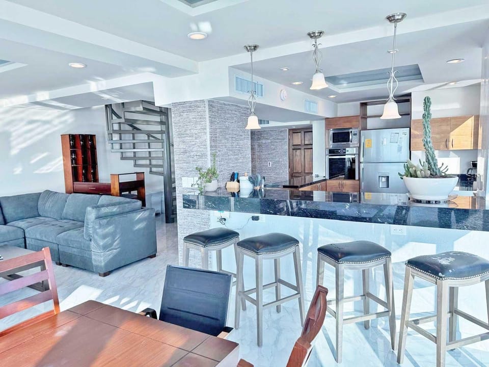 Penthouse 1 of 2 Main level