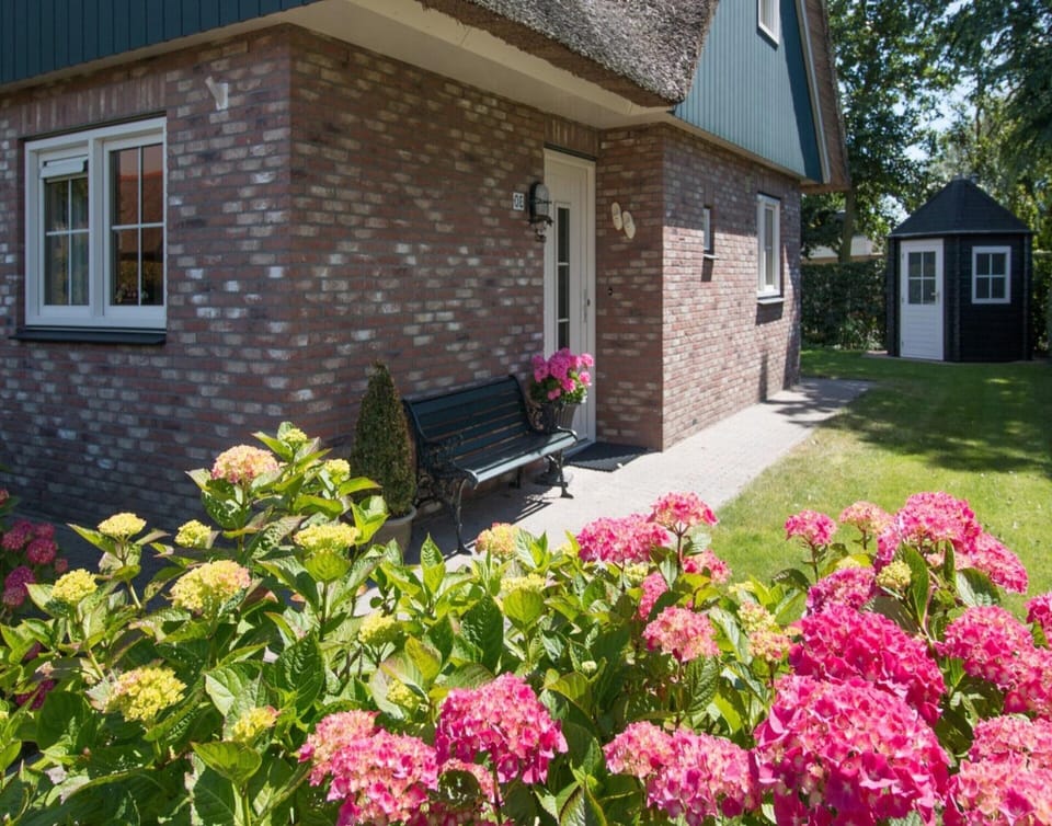 House | Exterior