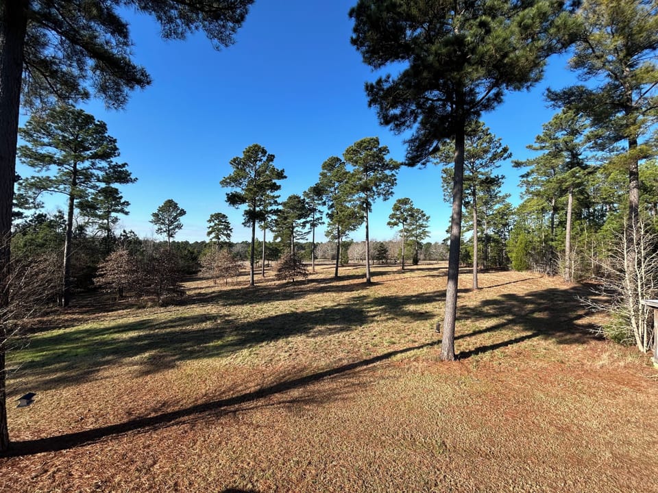 8 beautiful acres