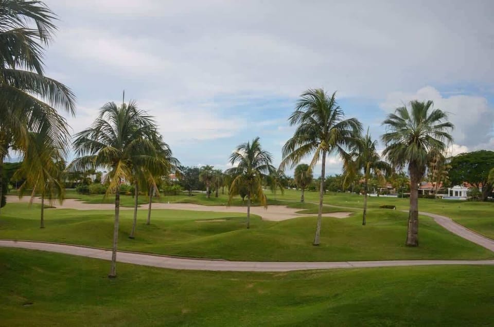 View from the Terrace