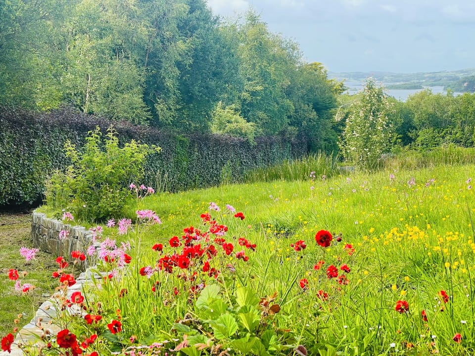 You'll wake up to this view over the forests and down to the sea.