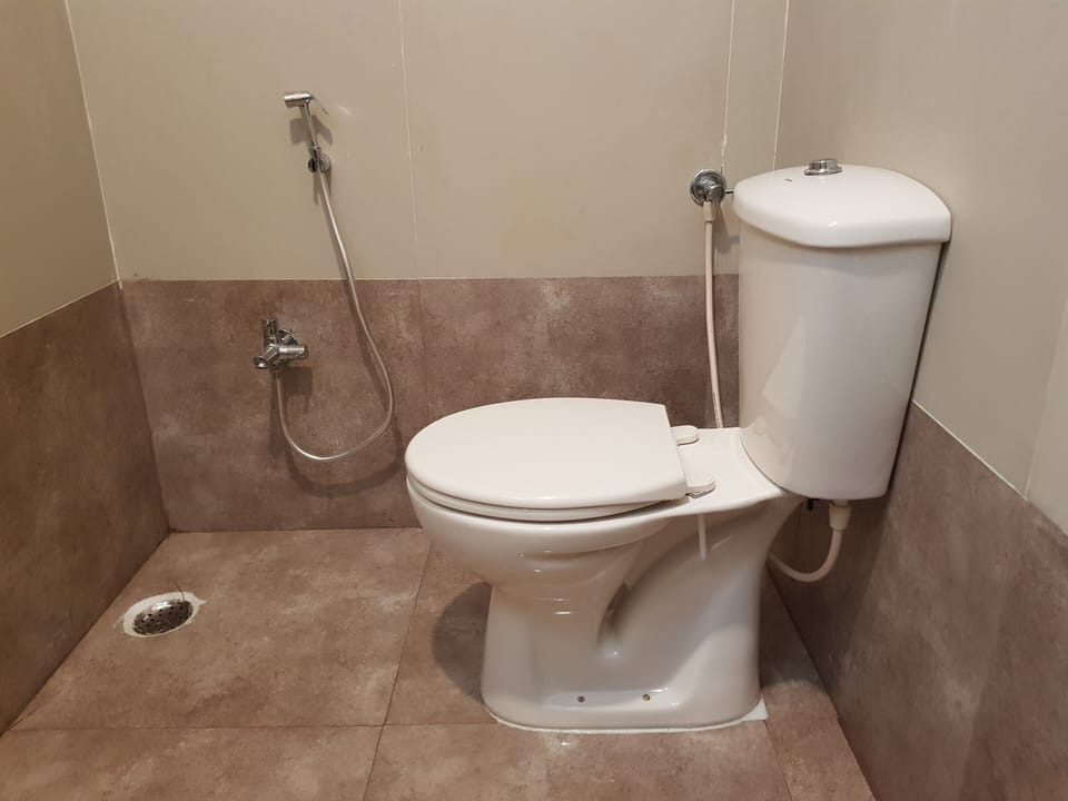 Shower, soap, shampoo, toilet paper