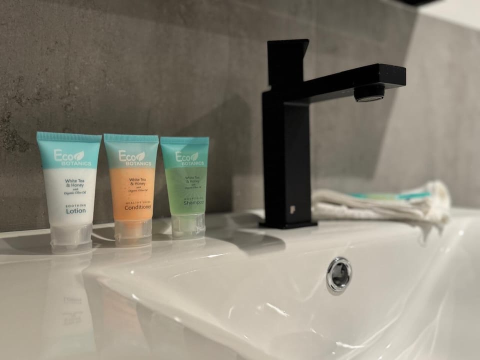 Deluxe Studio Suite | Bathroom | Free toiletries, soap, shampoo, toilet paper