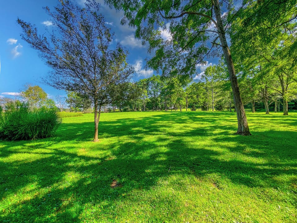 Sprawl out on 7+ acres—pitch a tent or enjoy your favorite lawn games.