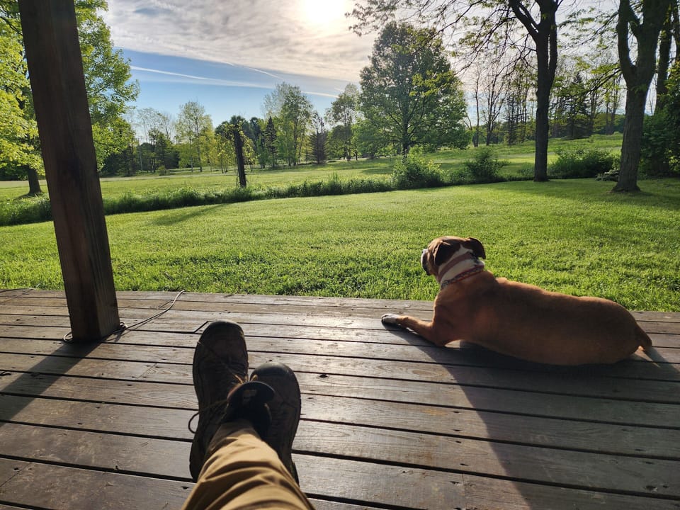 We welcome dogs and responsible pet parents! 
