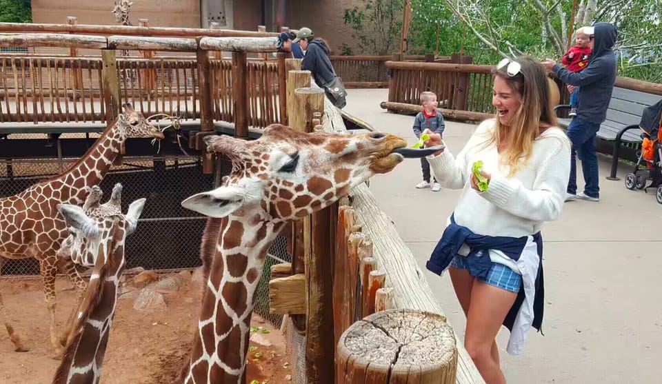 Cheyenne Mountain Zoo, ranked #5 Best Zoo in North America in 2024, is nearby
