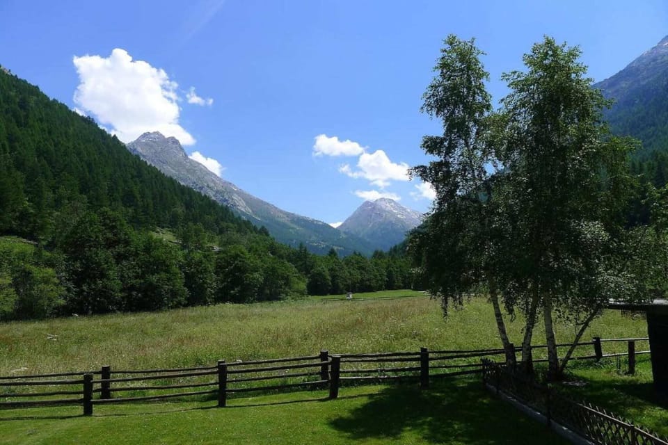 Region [summer] (>5 km)