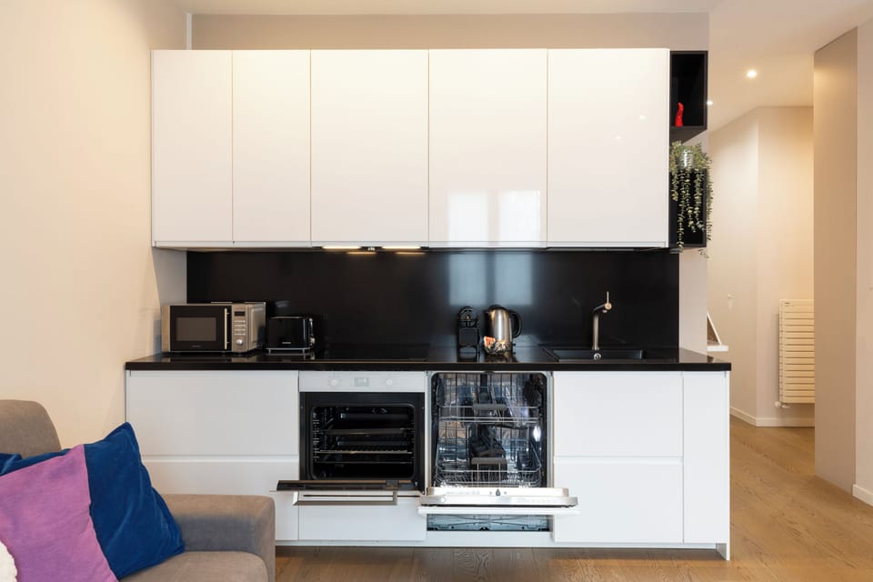 Deluxe Apartment, City View | Private kitchen | Full-size fridge, microwave, oven, stovetop