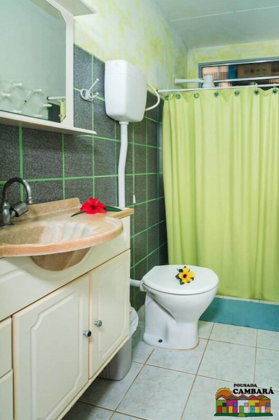 Shower, towels, toilet paper