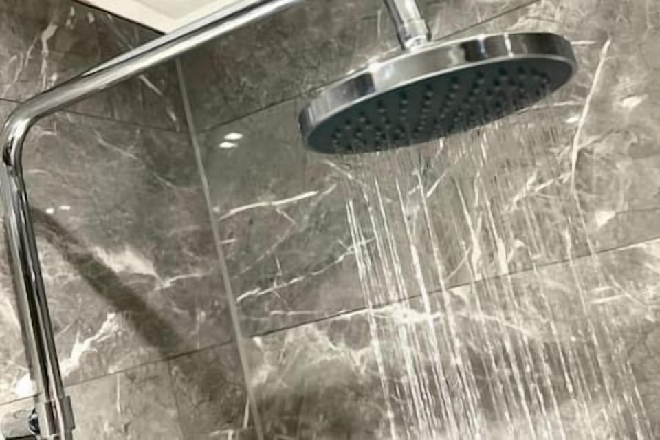 Hand-held showerhead