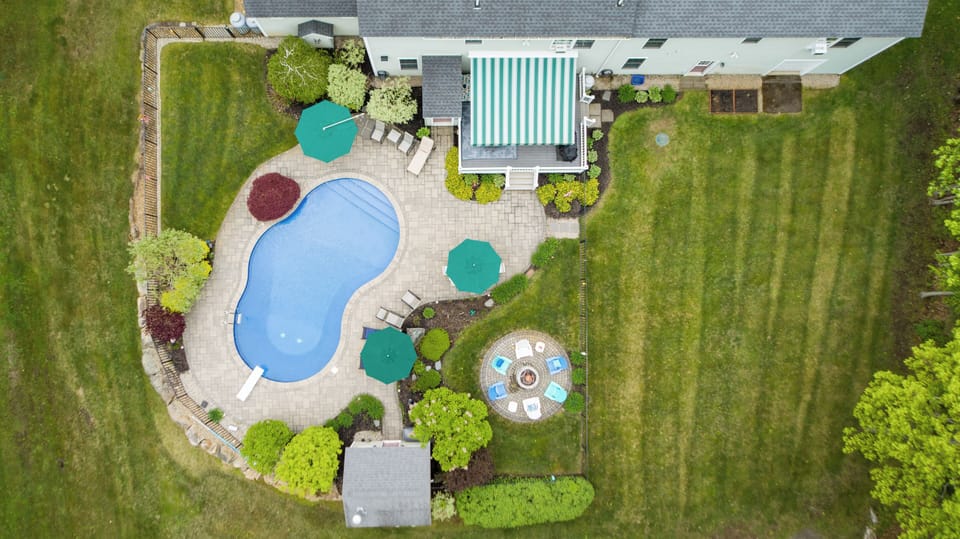 View of backyard!