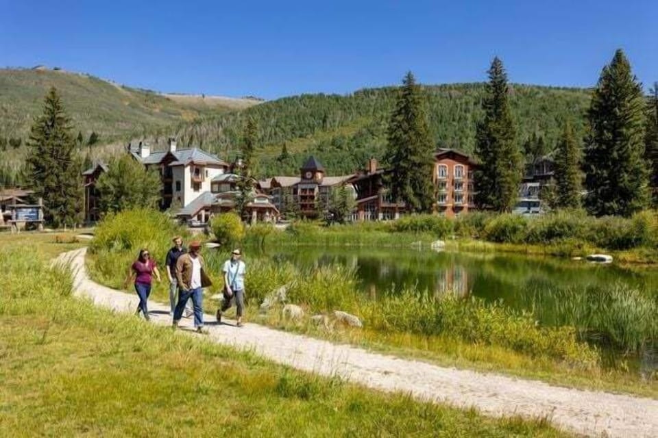 Nature, Outdoors, Scenery, Hiking, Tree