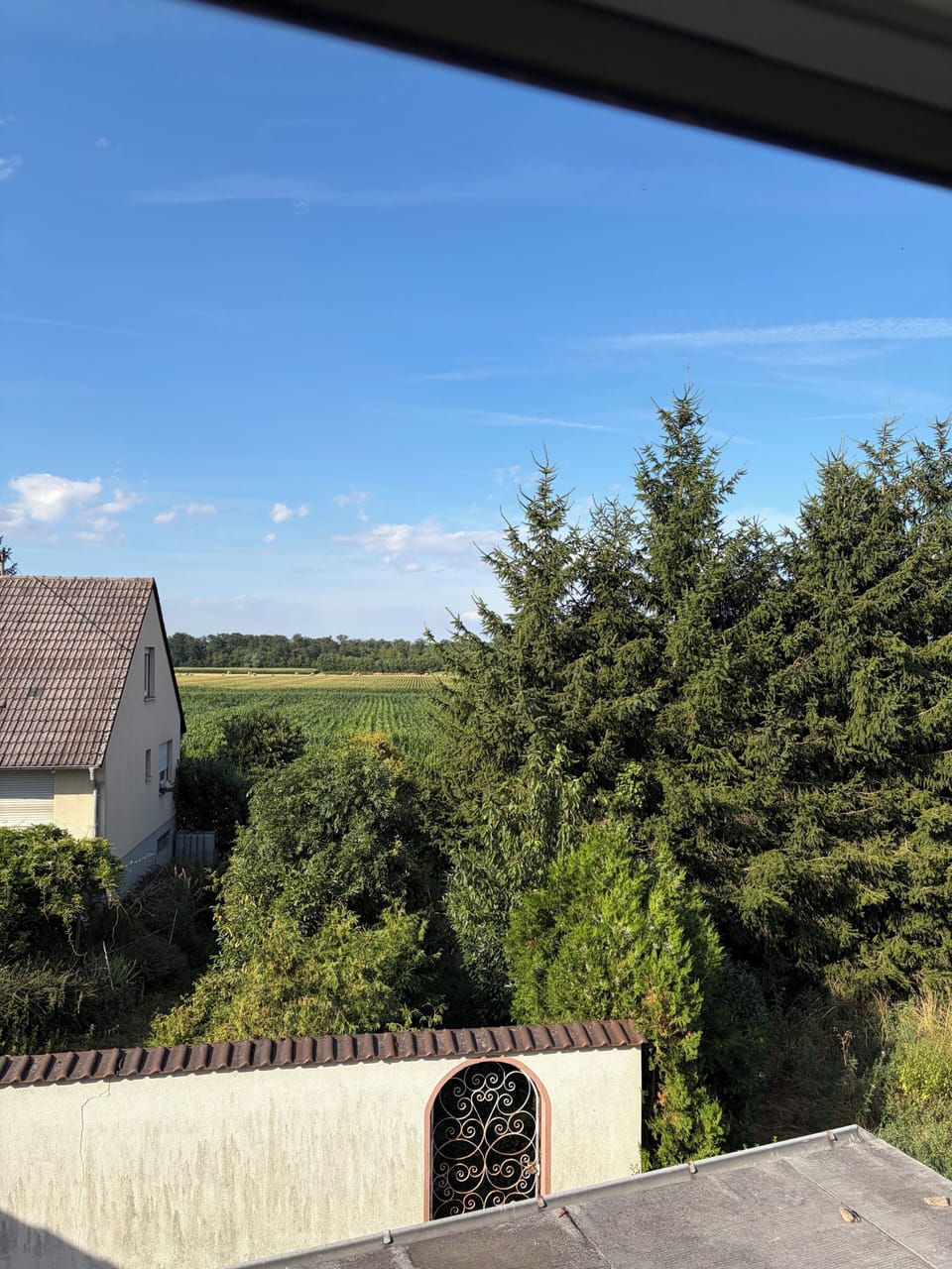 View from property