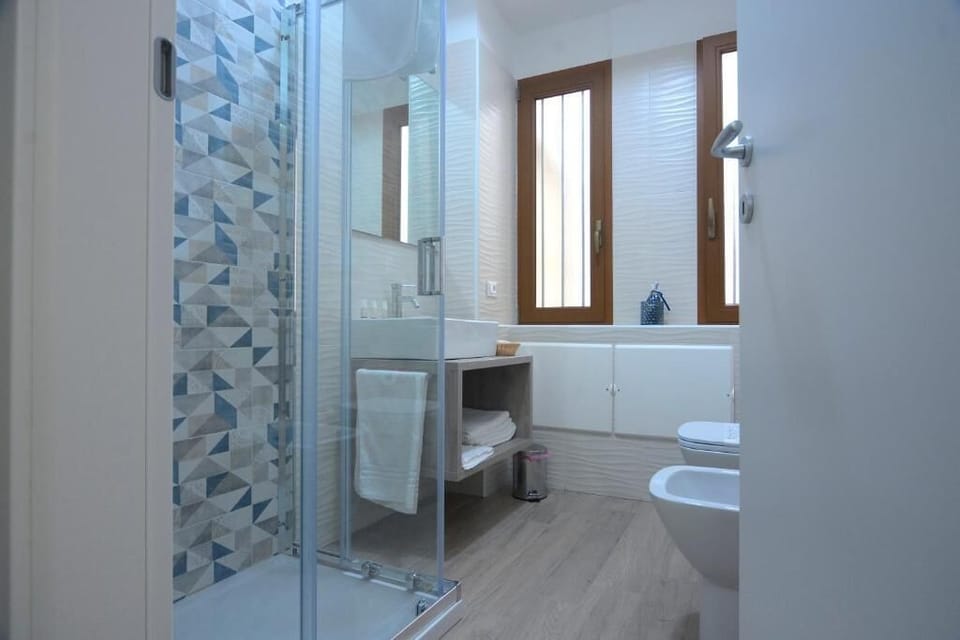 Shower, hair dryer, bidet, towels