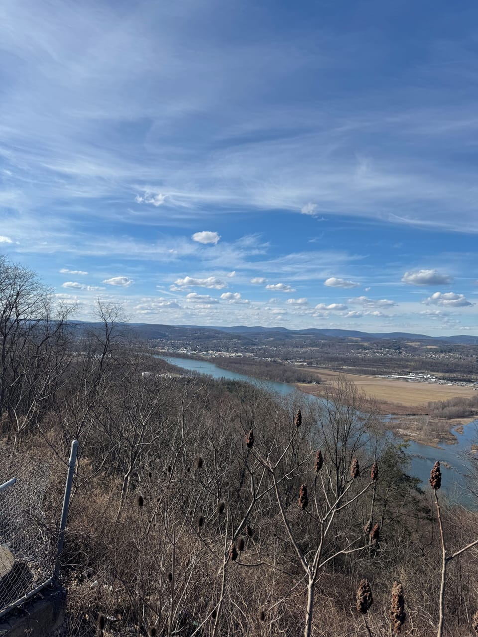 skyline view 