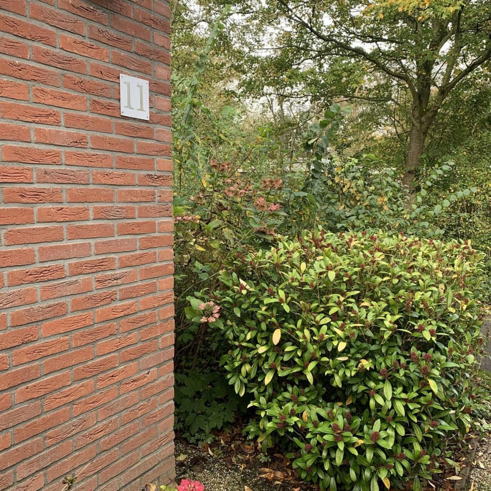 House | Garden