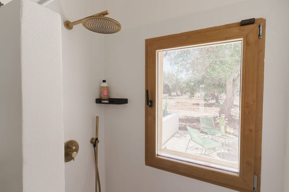 Wall, Wood, Room, Glass, Wood Stain, Ceiling, Hardwood, Molding, Mirror, Daylighting