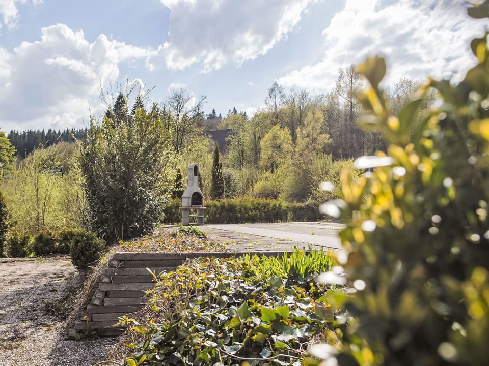 Nature, Vegetation, Shrub, Landscape, Garden, Woody Plant, Sunlight, Landscaping, Botanical Garden