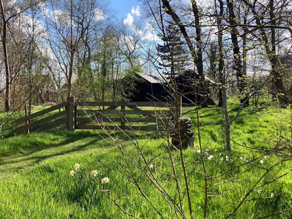 House | View from property