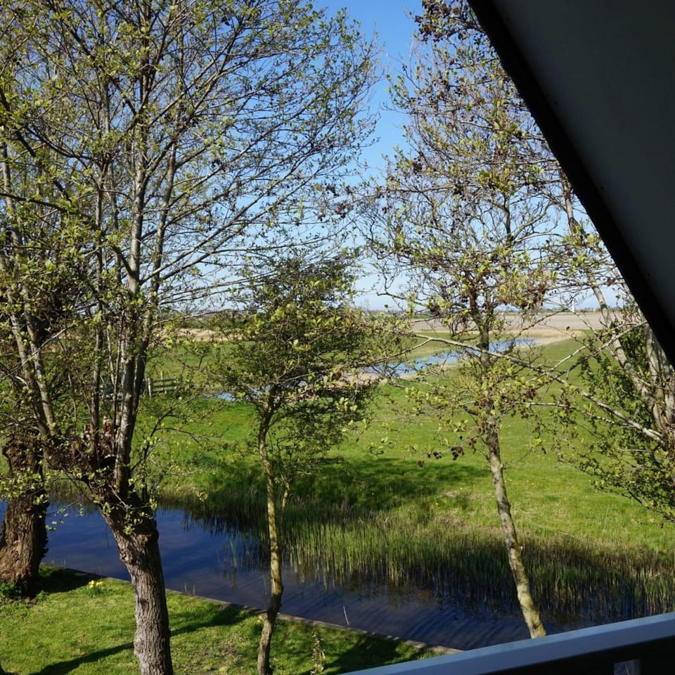 House | View from property