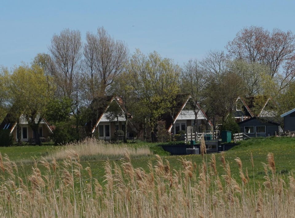 House | View from property
