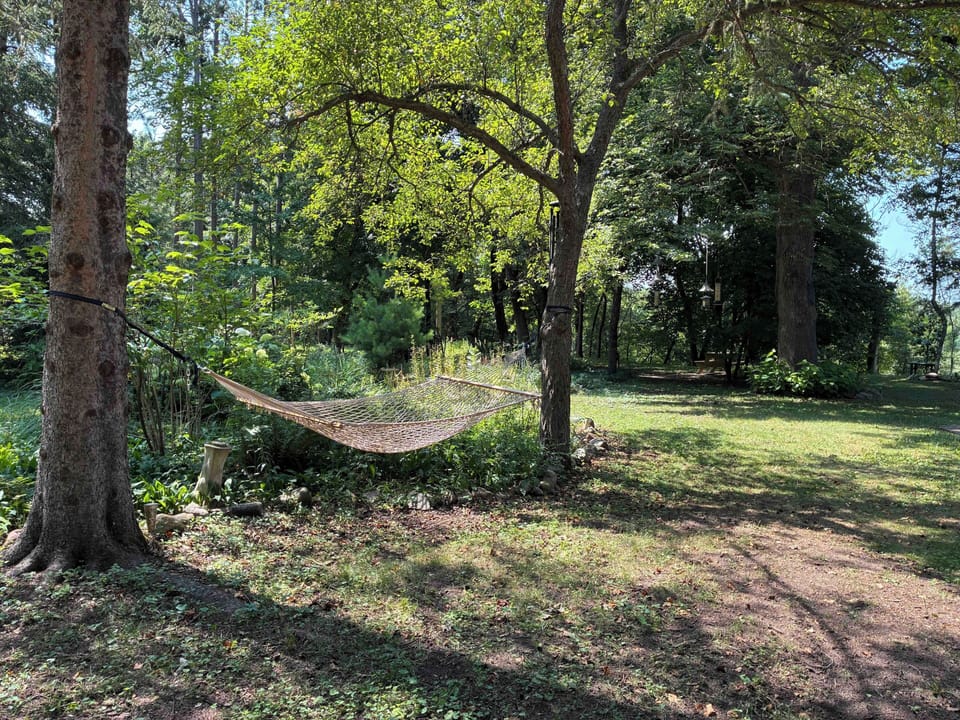 Hammock