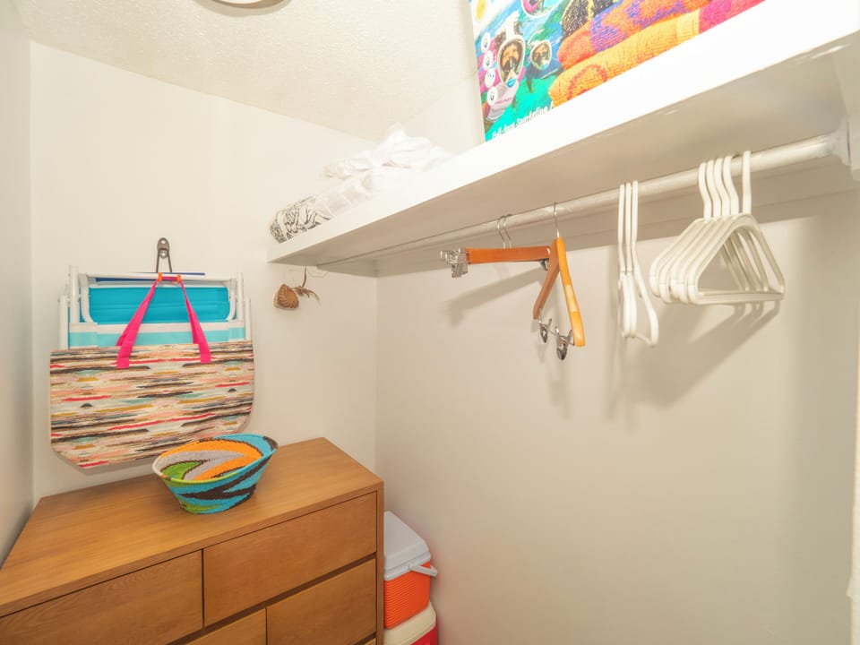 Queen Room Walk-in closet