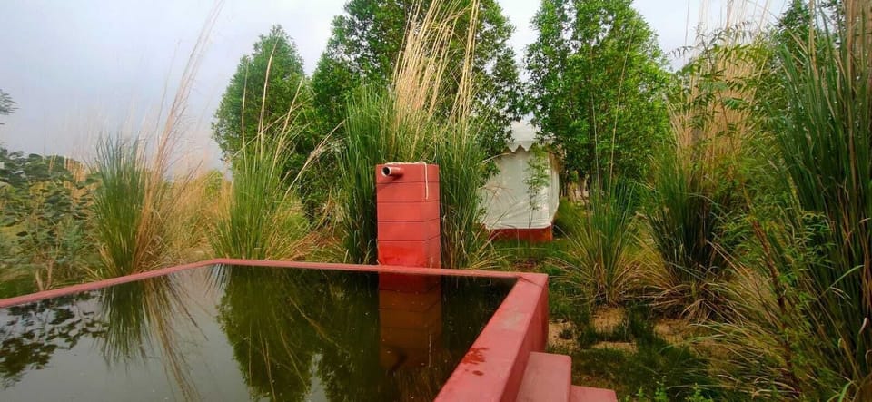 Kross Adventure Campsite Hotel in Rajasthan