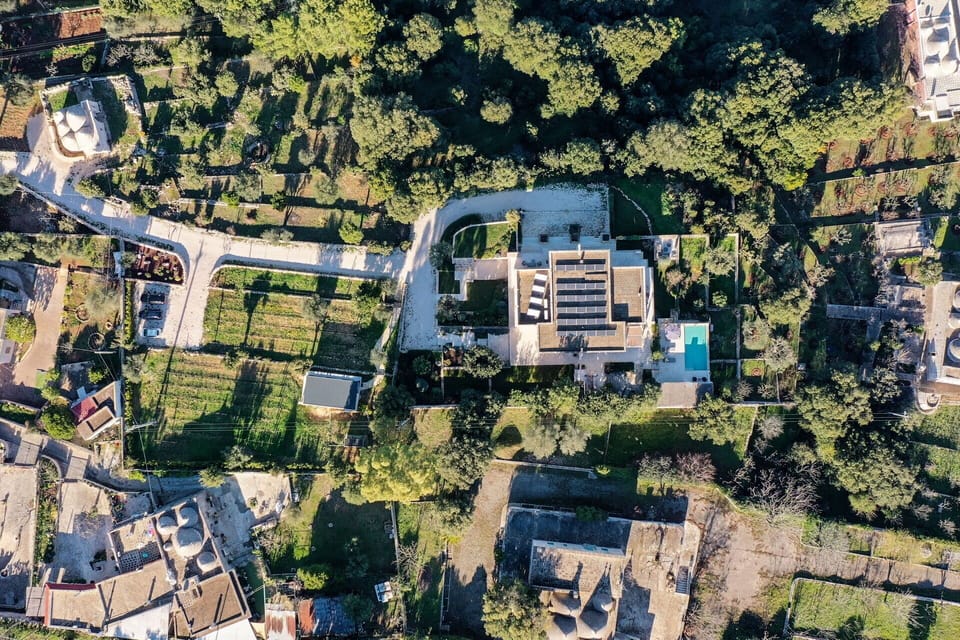 Activities, Amenities, Building Exterior, Garden, Main Entrance, People, Pool, Scenic View, Spring, Summer