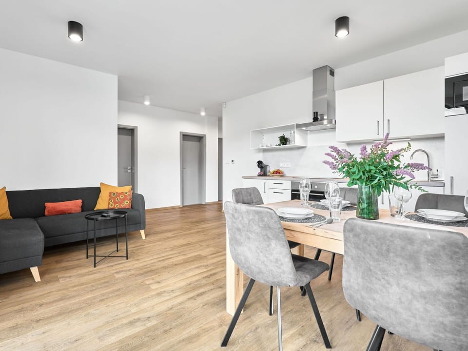 Furniture, Interior Design, Flooring, Floor, Wood, Wood Flooring, Ceiling, Room, Apartment, Couch