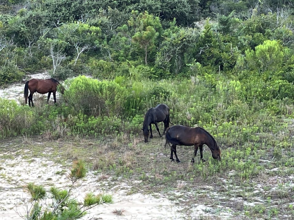 Right outside our doors